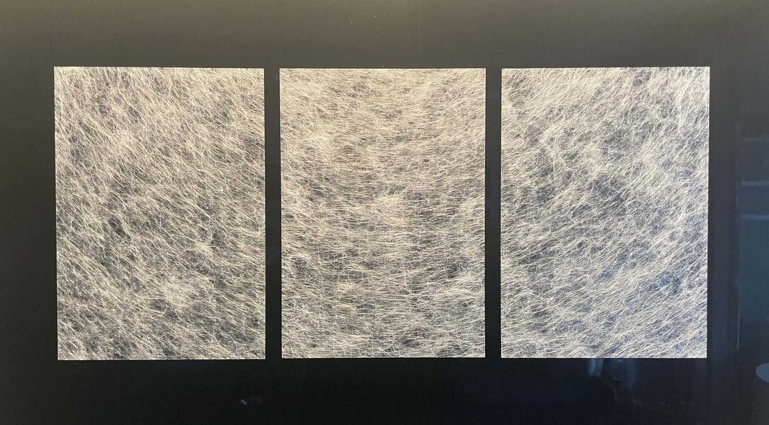 Creative Set - Fensterdekoration - Gecko in the Box